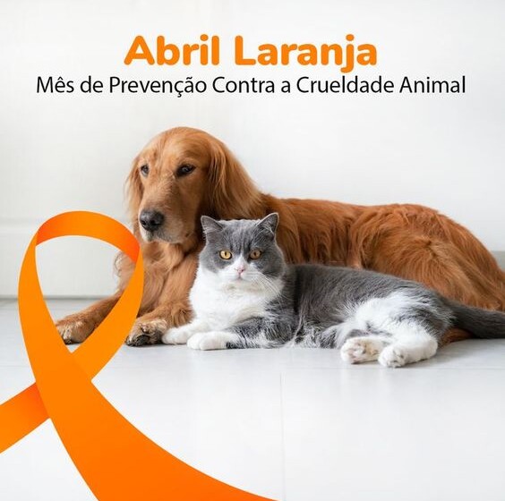  Abril Laranja reforça importância da prevenção contra a crueldade animal