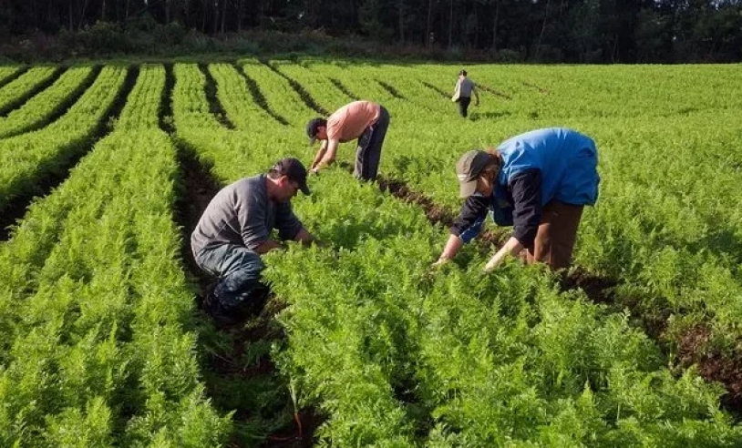  Seminário em Várzea da Palma apresenta as vantagens do associativismo na agricultura