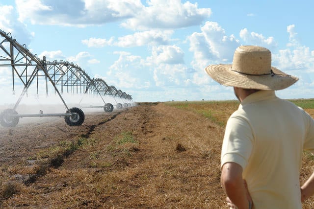  Nova lei garante irrigação sustentável