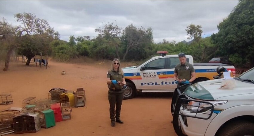  Suspeito de manter animais em cativeiro é preso