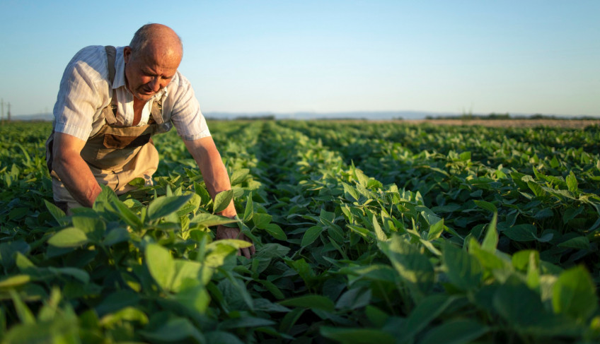  Pirapora sedia o 3º Seminário de Empoderamento da Agricultura Familiar