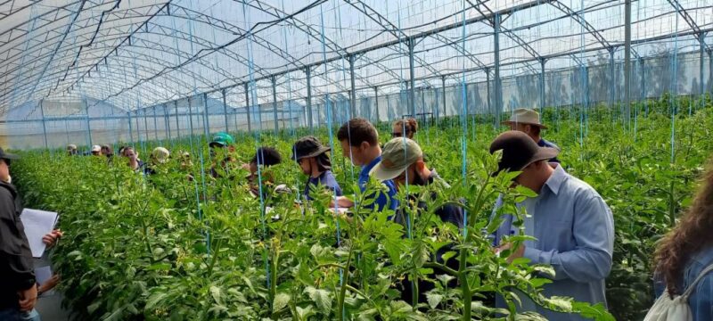  Unimontes realiza curso Técnico em Fruticultura