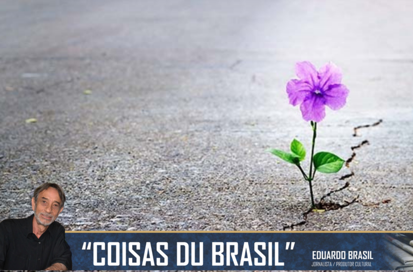  ESPERANÇA E RESILIÊNCIA