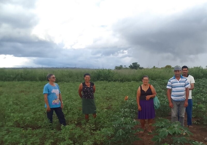  Produção agroecológica beneficia produtores em Vargem Grande do Rio Pardo