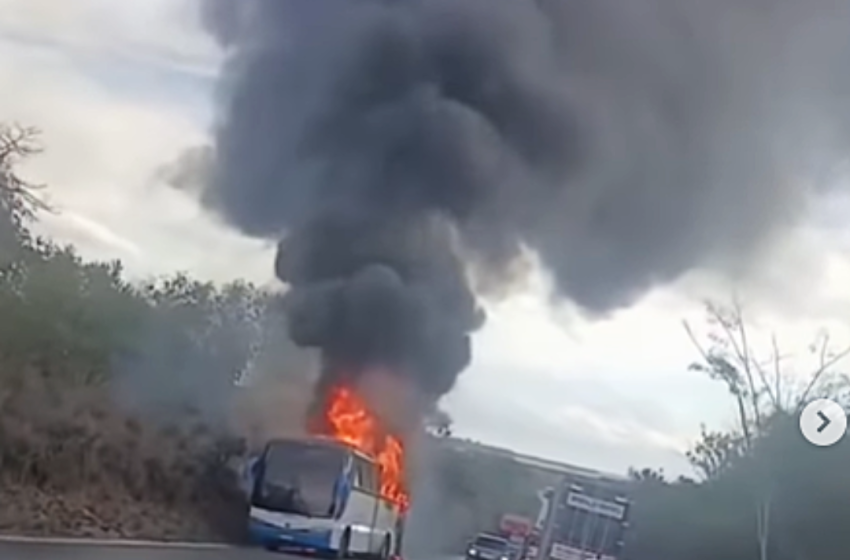  Ônibus pega fogo próximo ao Bonjuá, na BR-251