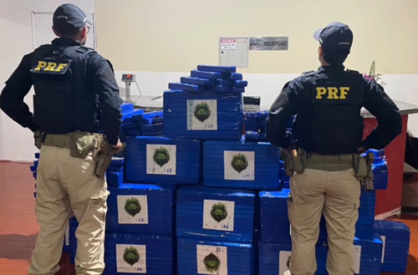  PRF identifica transporte de 700 kg de maconha e prende motoristas