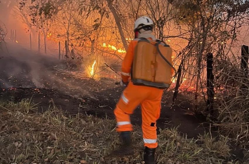  Parque Estadual da Lapa Grande é atingido por incêndio