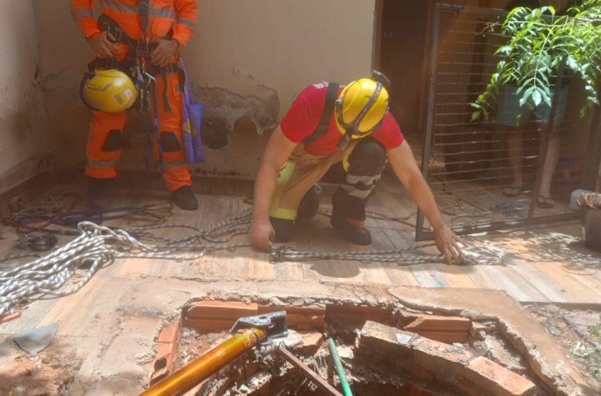  Tartaruga é resgatada de cisterna de 18 metros