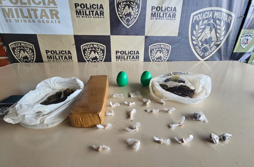  Mais de 300 porções de drogas e armas são apreendidas em operação no Norte de Minas