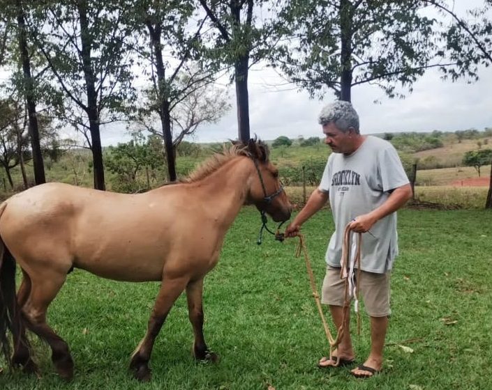  Turismo rural se apresenta como alternativa aos dias de folia no Norte de Minas