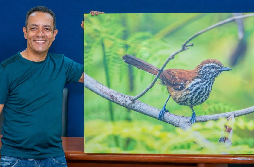  Jornalista Alex Sezko expõe aves de sete estados brasileiros, no Museu Regional