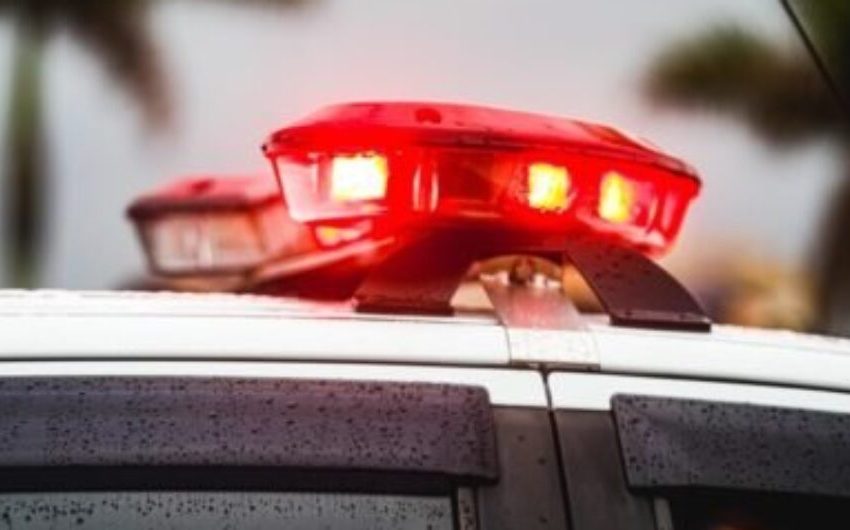  Cumprimento de mandado termina com militar atacado por pit-bull e sendo abatido