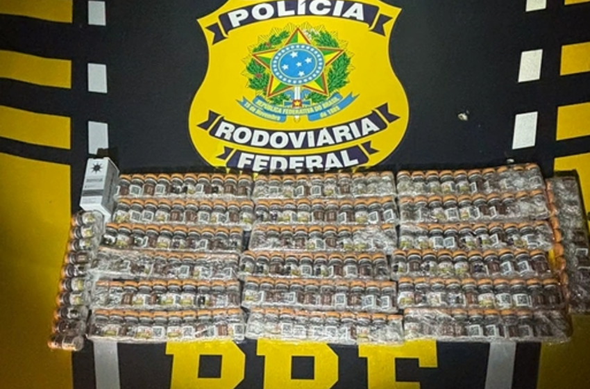  PRF apreende remédios, anabolizantes e cosméticos sem nota fiscal na BR-365