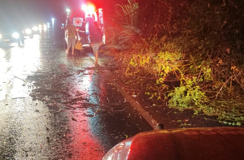  Tempestade causa queda de árvores e acidente na MGC-122