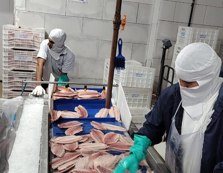  Agricultores familiares de Jaíba conhecem polo produtivo em psicultura e projetam novas ações regionais